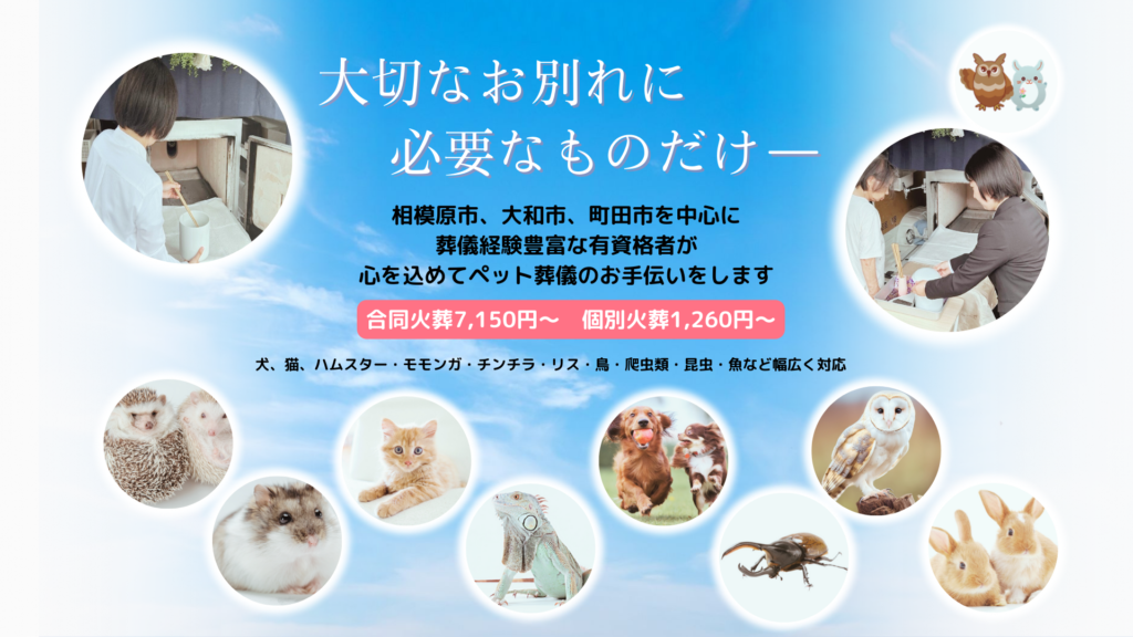 相模原市のペット訪問葬儀専門店 アニマルズ・セレモニーの