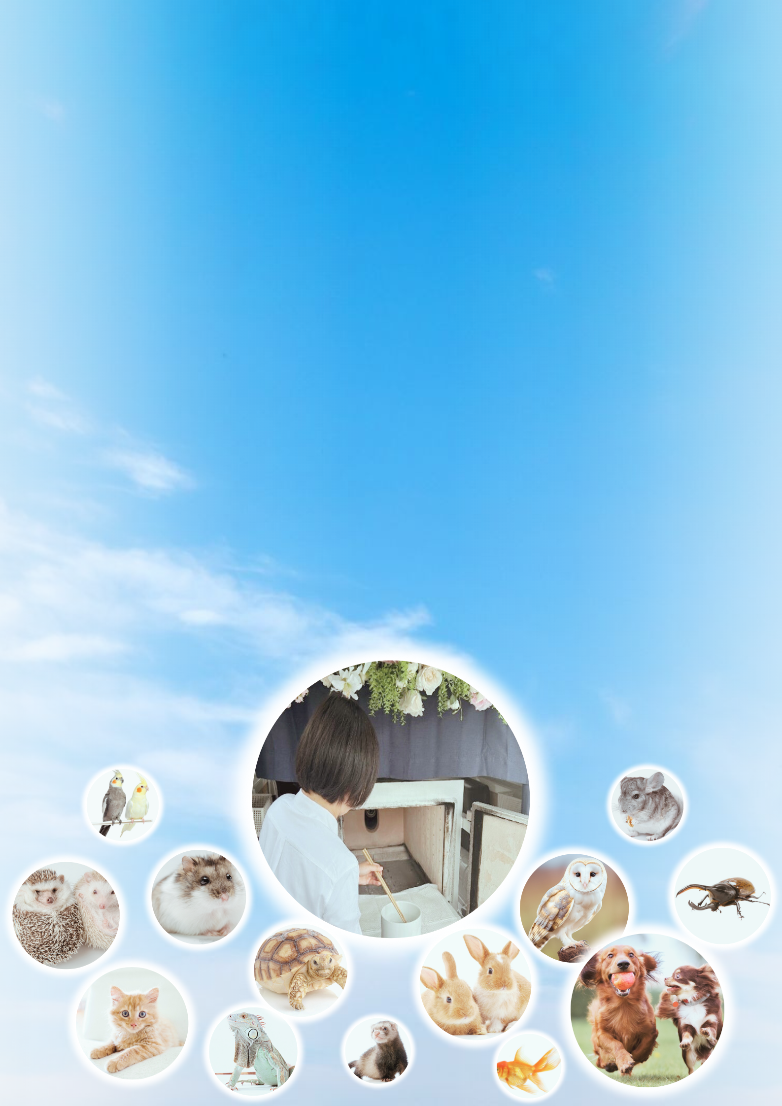 東京・神奈川の訪問ペット火葬アニマルズ・セレモニー